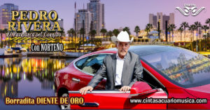Borradita Diente de Oro – Pedro Rivera Con Norteño