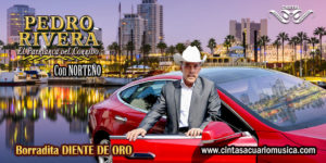 Borradita Diente de Oro – Pedro Rivera Con Norteño