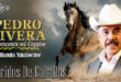 Corridos de Caballos – Pedro Rivera con Banda Sinaloense